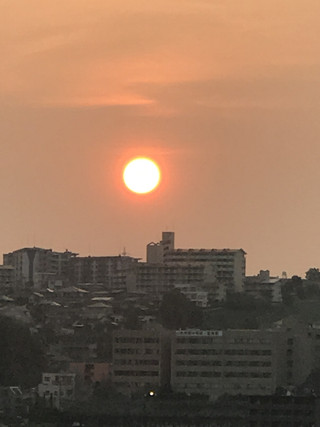 3442458bebd446a5b2362e7b357ea838