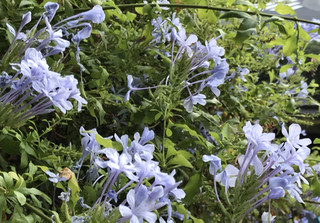 5b2f28a0758544fb9eed461dcf54fb02