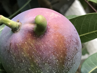 A28916e7866a4ca4a1bfe42e41f6e1b7