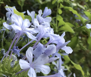 B34c311bc5aa44b4a6cd492edf0e3efc