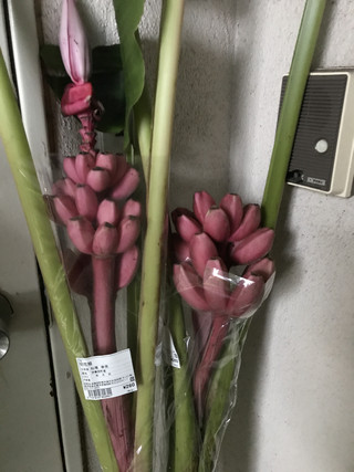 056bfa2c194b4c789910741769df3ac7