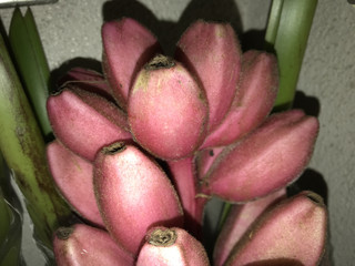 0b0582f5f1fa41818771b76514ec98ca