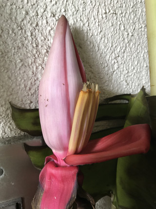 1e834e95b90d4f9c96619f544bc29dba