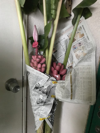 3cd761a686fc4bbbb8bdd4dfa081f320