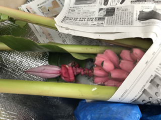 4d99a73500e641208de13620a54678f7