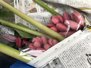 53db167d2dc84fb8b6f295fac3028e2b