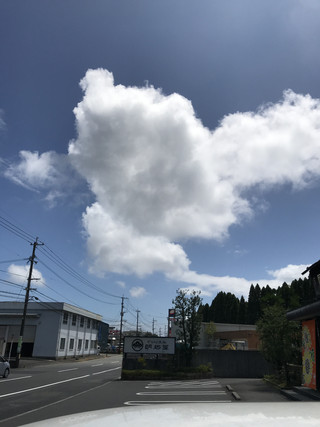 C162963002d54d1b8a1f432fb5554e98