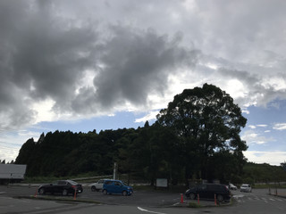 Dbee55b026c7435e8f3547a14c7b0f78