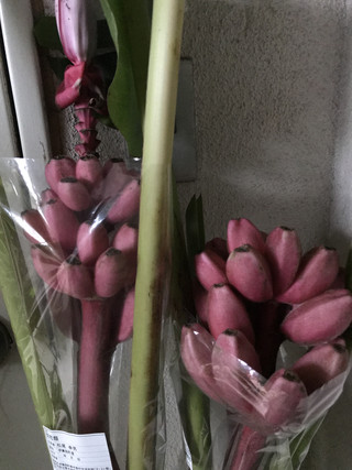 F893c1f1e49043f8a85a061e95fa74f8