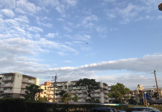 23deeba3769746fb8efae1c2ef6b76e3