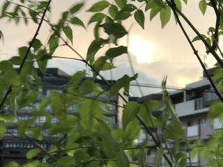 445d48d4cf3e4248abf107862691b42d