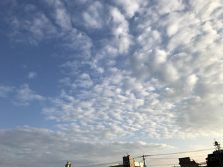 6a8f3920d31441eba344d3ce33943b92