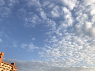 831c4b917b414a3f88d869c43e434cb2