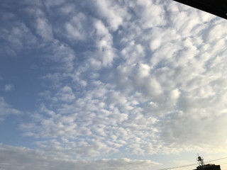 Ac987df37c5540999ed1990dc83051a8