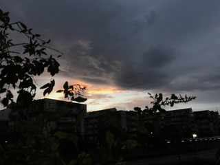 B4bc471b7ac040a296f96f4bdc234080