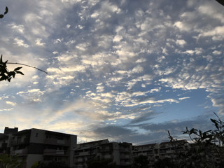 3234d053d72f45e8b494d6fbd658e8b7