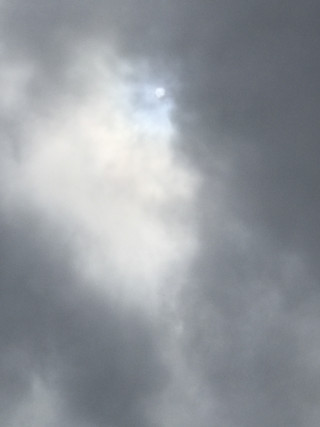 05937a1dda7648b7bb1f5b01af88579b