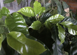 4ec303d350d64884a0f3c3a793dddf7f