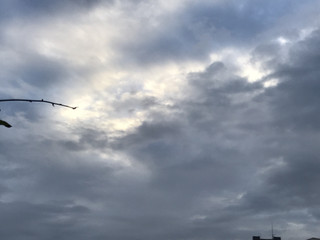 901264cebcb940d492028ecfa9e29f1e