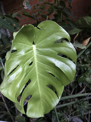 910c7e26d179429d81c5da28ab5e1952