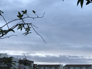 Ae47d10f0bed4d8995f287bd167d9bdf