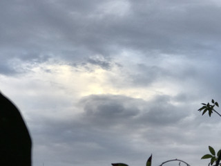 D469be744d1845369693a8feeb176bd0