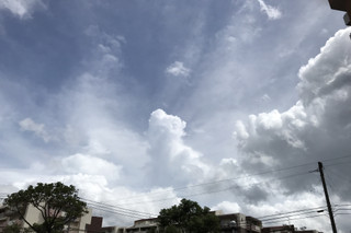 Fcf1d35e78fe4f4e830e113e957ecdc0