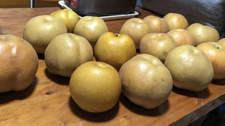 5a69f26d14954edea94f071550a4a30e