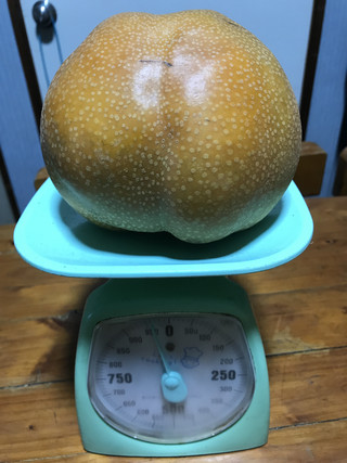 646e0bd97d184a329e2df501bf9647d3