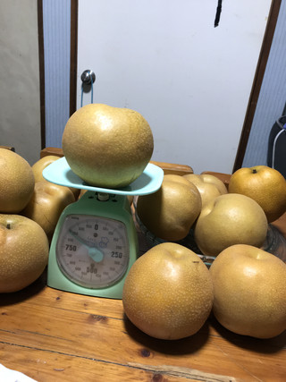 8e2b8d9b5a2f4745ade00b2c1637c090