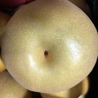 96ff87e807c24ffab02977e7e725dc97