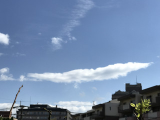 40b3b1dab6654c41869e45c0817ac5a4