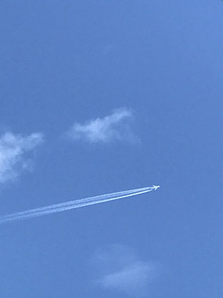 C7760b4316754ae1a67303eb3318f74b