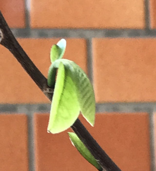 Ca28607d7dc34858a68dc1e1b1df39bf