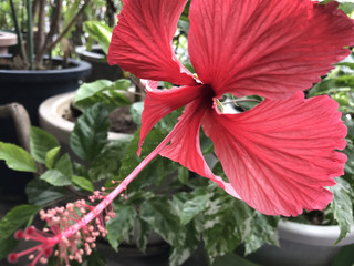 20a124533e244424947102790bc1b82b