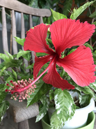 2798508e8c51478db65ffa07498c8a37