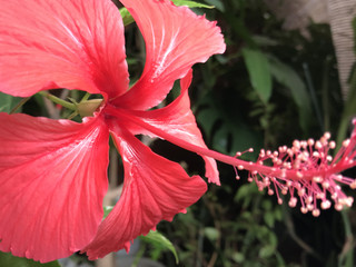 4cfbd33f11d84325a5e2a8c1ffae4b9b