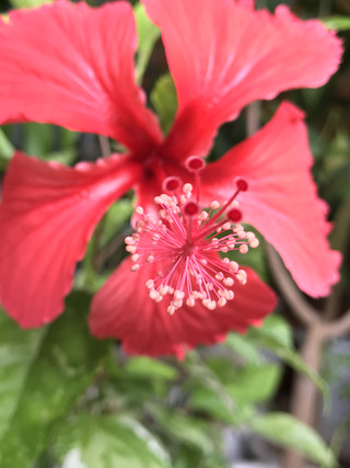 50528f9d518f429196d5c5258b4b4579