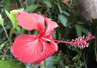 63d718e50bac4fbfabe9a116299ebf3c