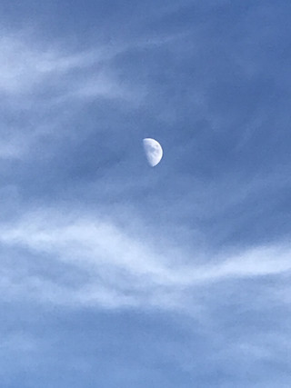 20d62ce6593b4bceb4cf199b5bbc88b0