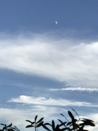 7deff1c730c94ec8aff34c0c4ae4b478