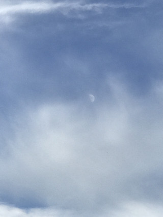 90d3f85d16d549959ea7eab0cc0f92f1