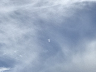 E03ec60ba6d14bc4b2c3c69ef09251e6