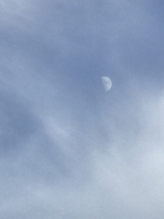 Fc3d81d008a44670a9f90bfa8b393f30