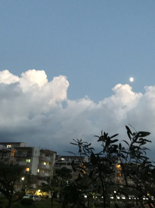 284131d633b54b088a95865d20cb8074