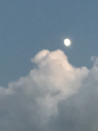 3c6bd65c533d483aa4989048e65f769b