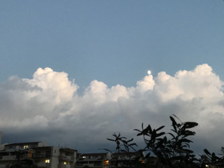 52cf8dbf14f04ba8bbc26a5b3934b08f