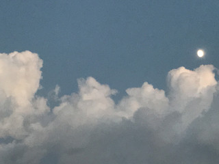 9d0eeffb6d7d4b8286871269c592a394