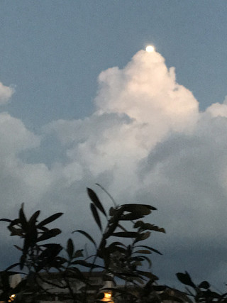 Bd67c04cd4a2451b8a660f9fd83e6b34