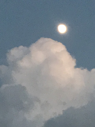 F9c3f64f29cf4082ad738d1c12fb1b4d